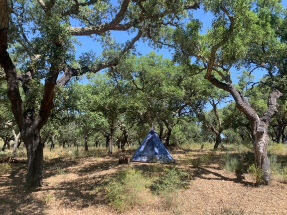 Natuurcamping in Juncal do Campo - photo 2