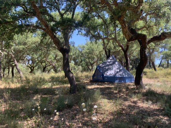 Natuurcamping in Juncal do Campo - photo 3