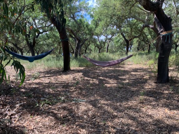 Natuurcamping in Juncal do Campo - photo 5