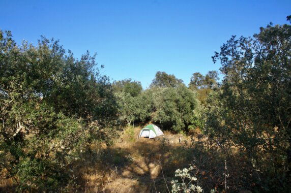 Natuurcamping in Ourique - photo 2