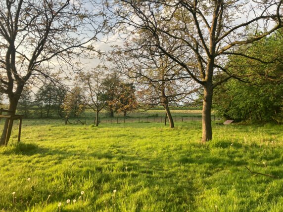Natuurkampeerplek in Wellen - photo 7