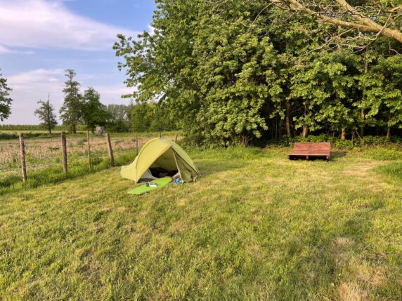 Natuurkampeerplek in Wellen - photo 5