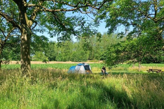 Natuurkampeerplek in Wellen - photo 2