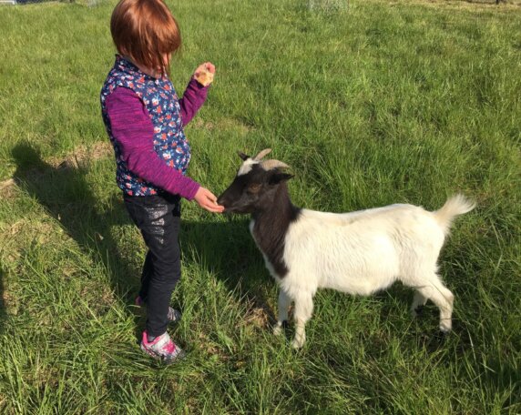 Vodatent O2 Camping - photo 9