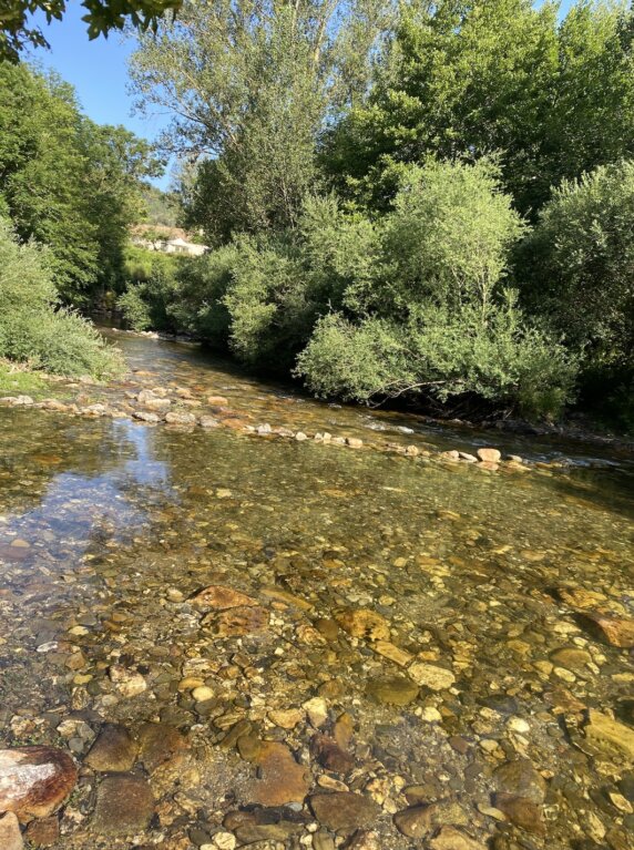 Camping Des Deux Séquoias - photo 11