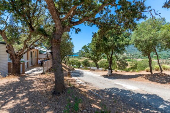 Camping Colomba - photo 2