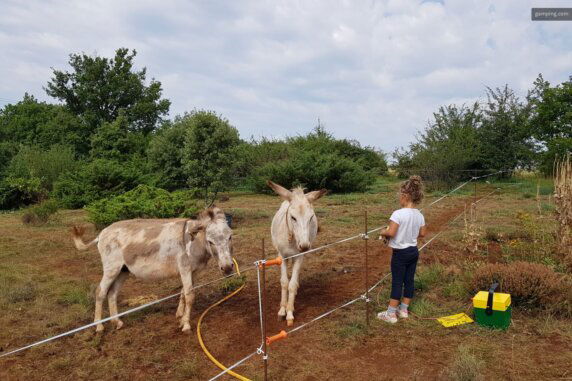 Campspace in Millau - photo 6