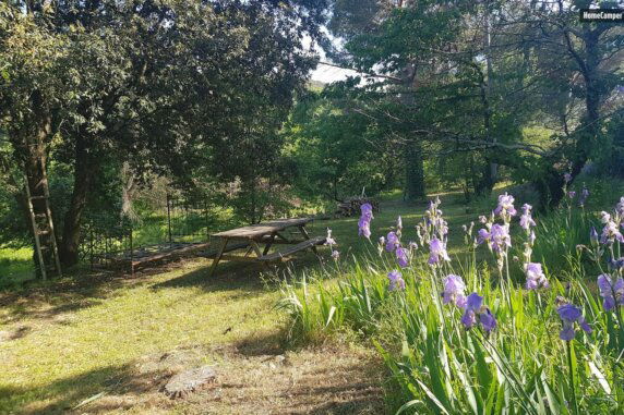 Mas des Ballats - photo 11