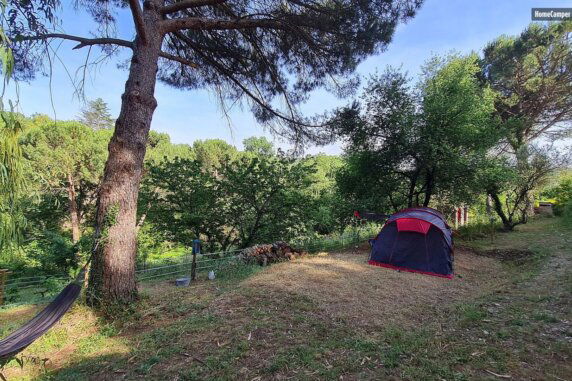 Mas des Ballats - photo 2