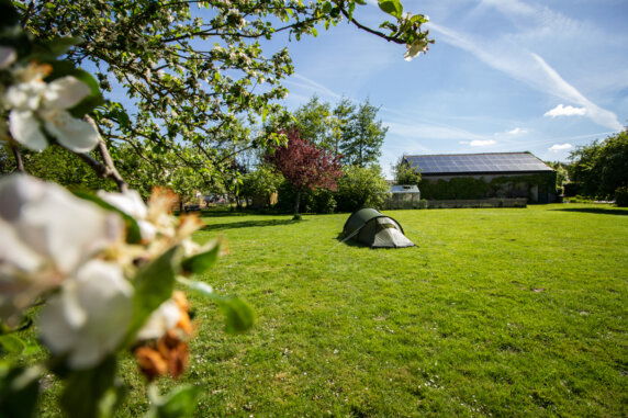 Minicamping in Zuienkerke - photo 1