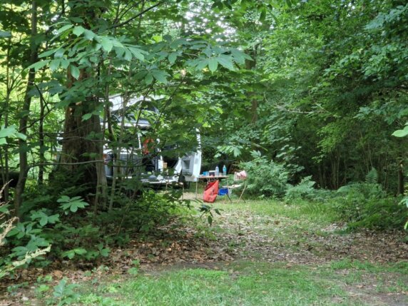Natuurcamping in Hertsberge - photo 2