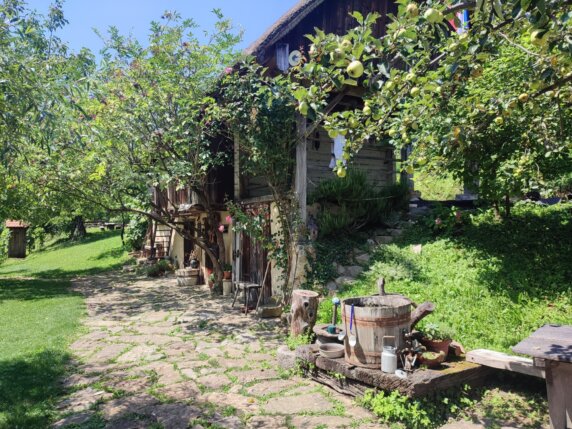 Natuurcamping in Lažiše - photo 13