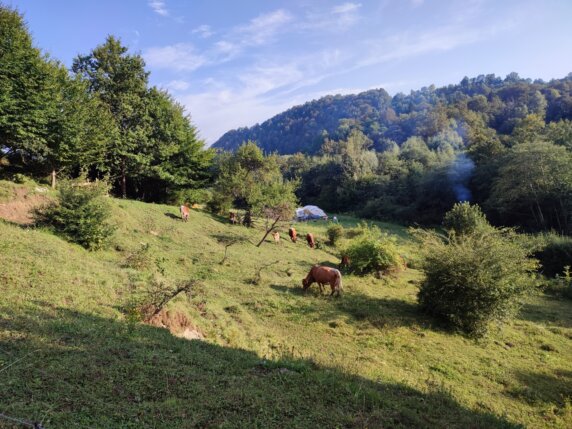 Natuurcamping in Lažiše - photo 4