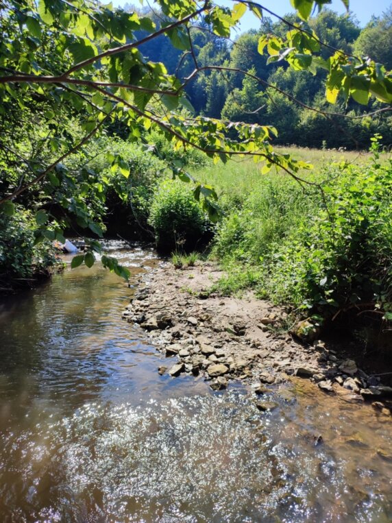 Natuurcamping in Lažiše - photo 8