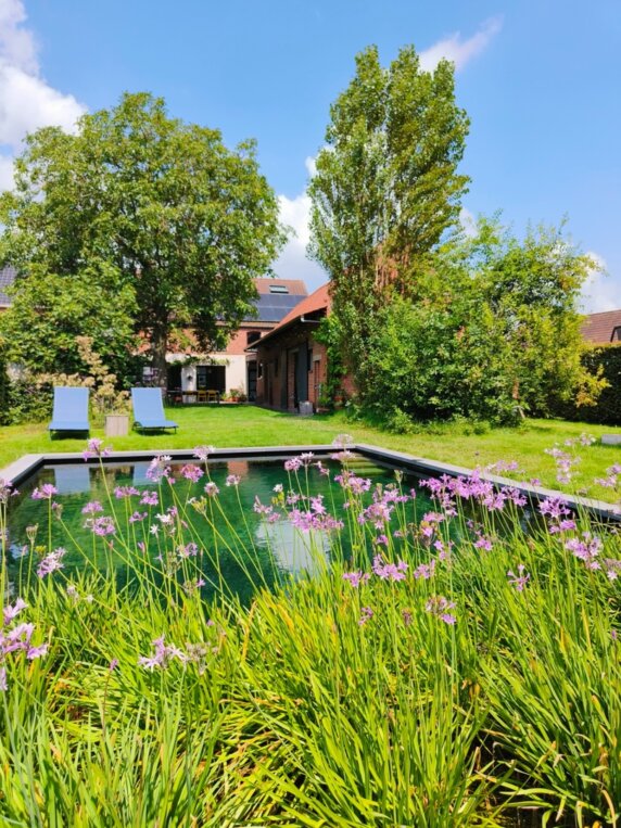 Natuurcamping in Lokeren - photo 14