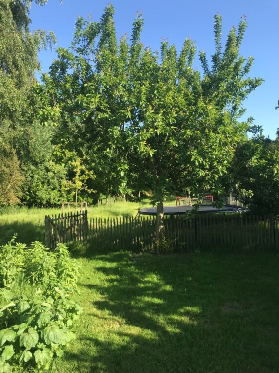 Natuurcamping in Lokeren - photo 6