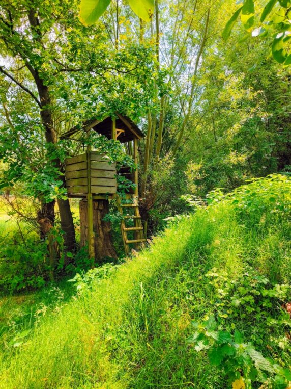 Natuurcamping in Lokeren - photo 13