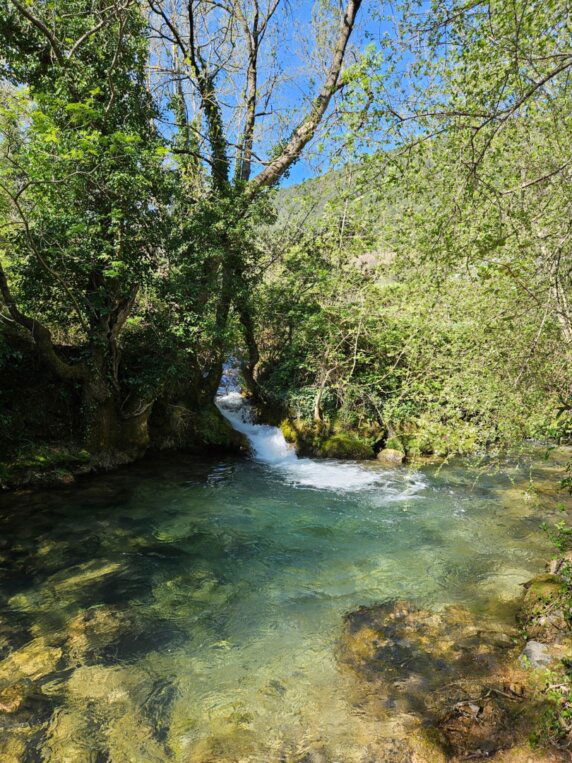 Natuurcamping in Saint-Étienne-de-Gourgas - photo 3