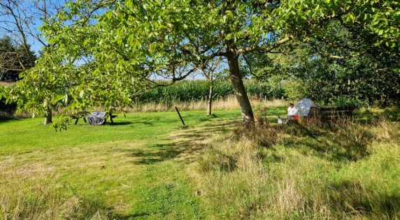Natuurkampeerplek in Wellen - photo 3