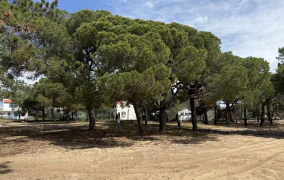 Orla Ecoglamping – Ilha de Tavira - photo 1