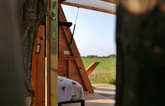 Polderhut at Camping Zonnehoeve - photo 6