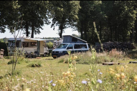 Wylder Woods - photo 1