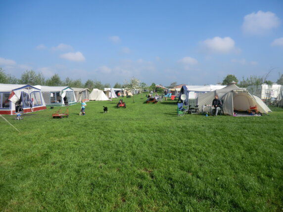 Boerderij De Boterbloem - photo 2