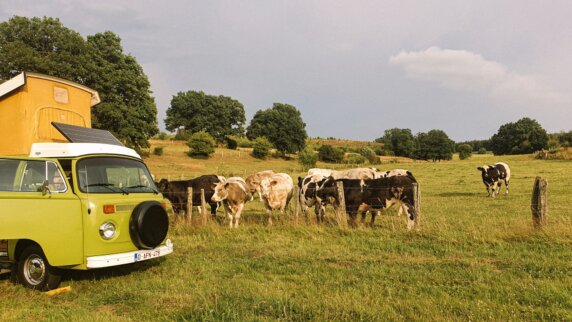 Boerencamping in Houffalize - photo 1