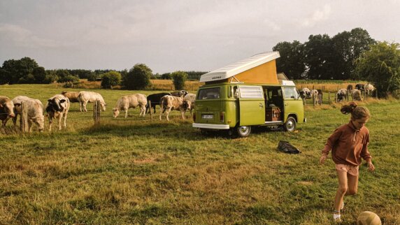 Boerencamping in Houffalize - photo 3