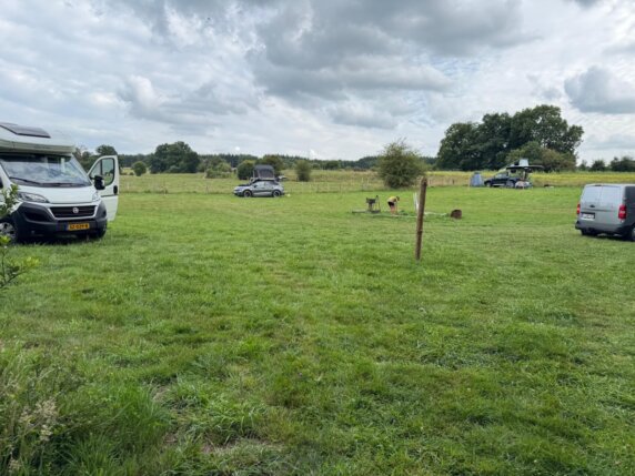 Boerencamping in Houffalize - photo 9