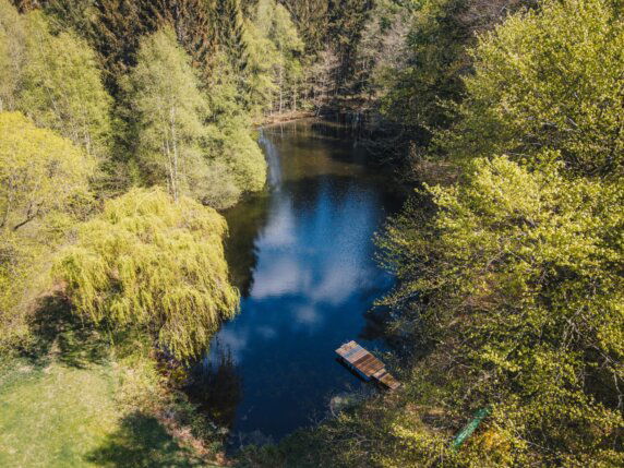 Boscamping in Geestland - photo 1