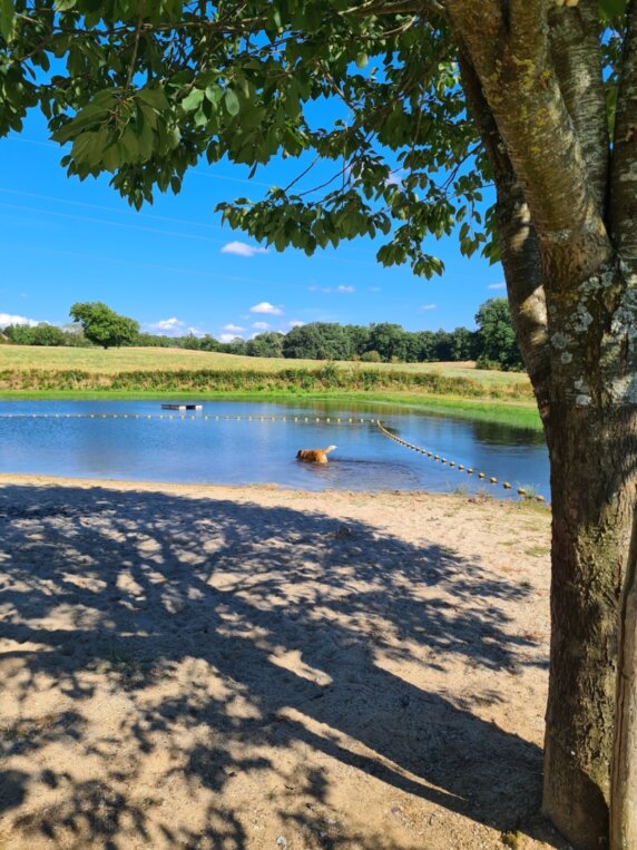 Camping du Bois Coutal - photo 7