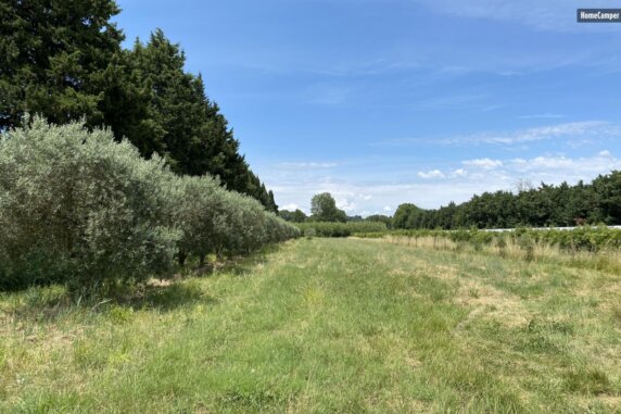 Campspace in Noves - photo 4