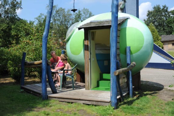 Drakenei op Camping ’t Schinkel - photo 1