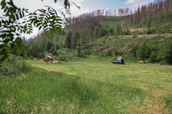 Green Camping Harz Hideaway - photo 1