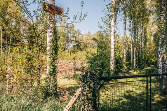 Kampeerplek in Herentals - photo 7