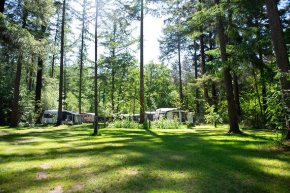Kriemelberg Bushcamp - photo 1
