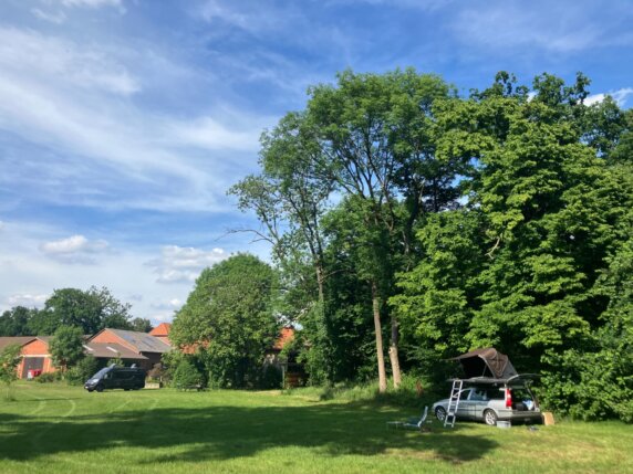 Natuurcamping in Eicklingen - photo 4