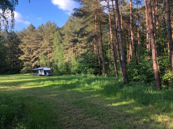 Natuurcamping in Eicklingen - photo 3