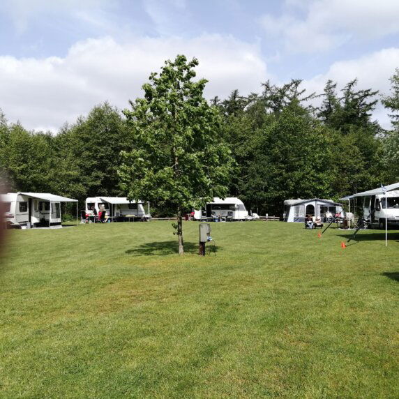 Veenemaat minicamping en B&B - photo 2