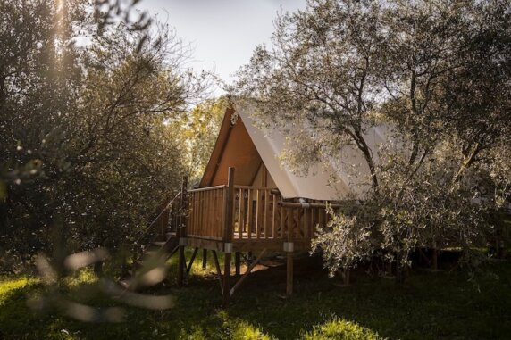 Agri-Glamping Il Bosco di Marino - photo 1