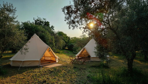 Agri-Glamping Il Bosco di Marino - photo 2