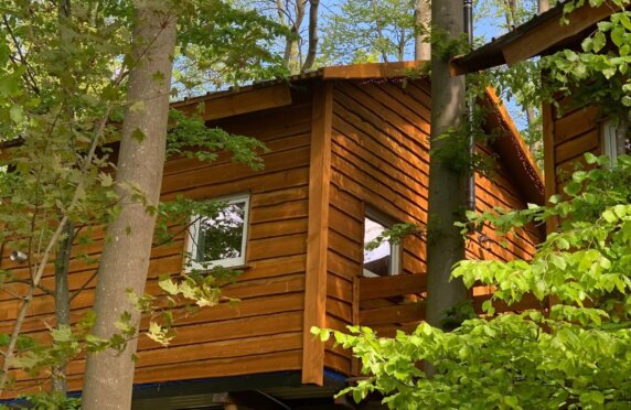 Boomvilla voor 6 personen op Camping Land uit Zee - photo 1