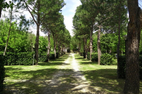 Camping Village La Chiocciola - photo 4