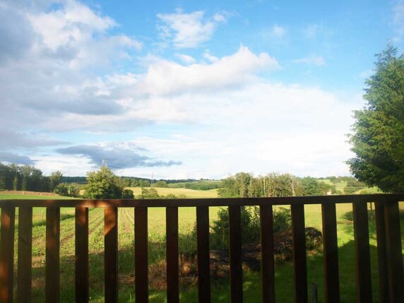 Domaine Les Filloux - photo 11