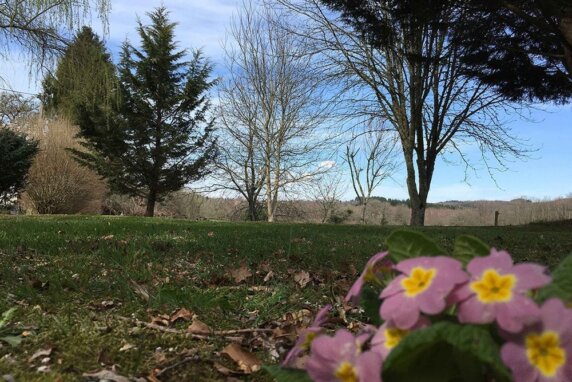 Domaine Les Filloux - photo 9