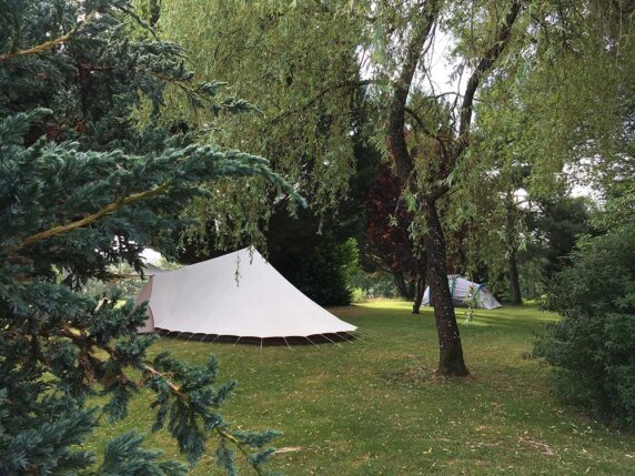 Domaine Les Filloux - photo 5