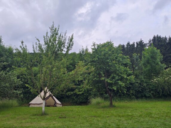 Kampeerplek in Lamorteau - photo 9