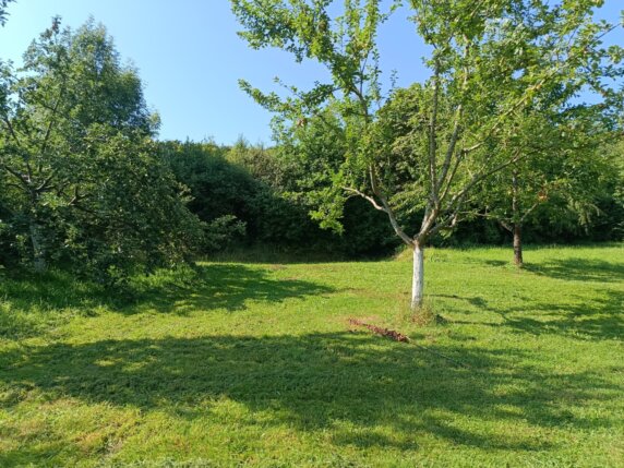 Kampeerplek in Lamorteau - photo 2
