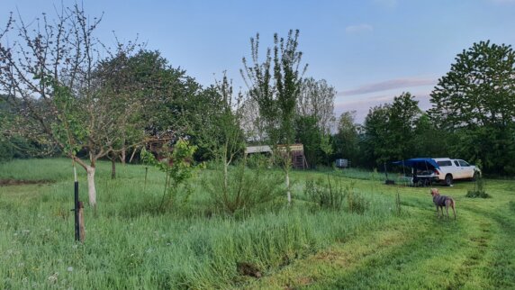 Kampeerplek in Lamorteau - photo 3